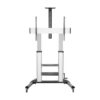 Soporte de Suelo Inclinable con Ruedas y Manivela Aisens FT100TE-125 para TV 60-100"/ hasta 100kg