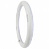 Tubo LED 18W 1.500Lm 6000ºK Circular Ø30Cm 40.000H [EA-DY-CI-300-18W-CW]