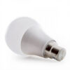 Bombilla LED B22 9W 810Lm 6000ºK Bayoneta 40.000H [GR-ED-B3-B22-9W-CW]