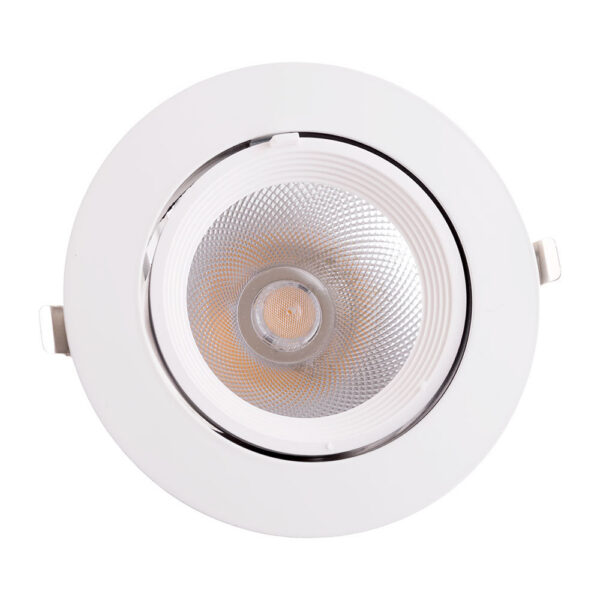 Foco Downlight LED 35W 5250Lm 4000ºK Circular Orientable 40.000H [HO-COB-C-OR-35W-W]