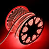 Tira LED Manguera "Neon Flex" 6W 6000ºK 220VAC 8x18mm Doble 120xSMD2835 6W/M x1M 40.000H  [HO-NSPVC8x16DOY220CW]