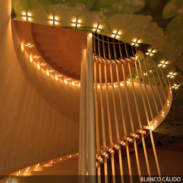 Foco Downlight Empotrable LED 2W 180Lm 6000ºK "Reagan" Circular 40.000H [JN-S002-D-CW]