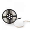 Pack 4 Tiras LED 72W 4200Lm 6000ºK 300 X SMD5050 12VDC IP65 x5M 40.000H [PL219010W-PK4-AP]