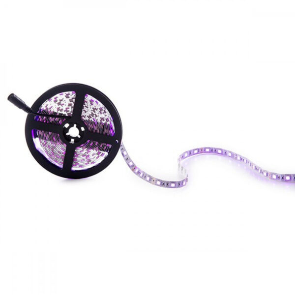 Tira de 300 LEDs 60W 2.100Lm SMD5050 12VDC IP20 Rosa x5M 40.000H  [CA-5050-300-IP25-PI]