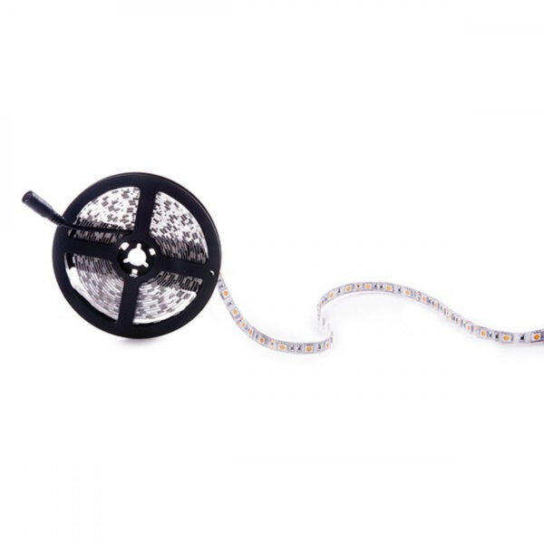 Tira de 300 LEDs 60W 2.100Lm SMD5050 12VDC IP20 Rosa x5M 40.000H  [CA-5050-300-IP25-PI]