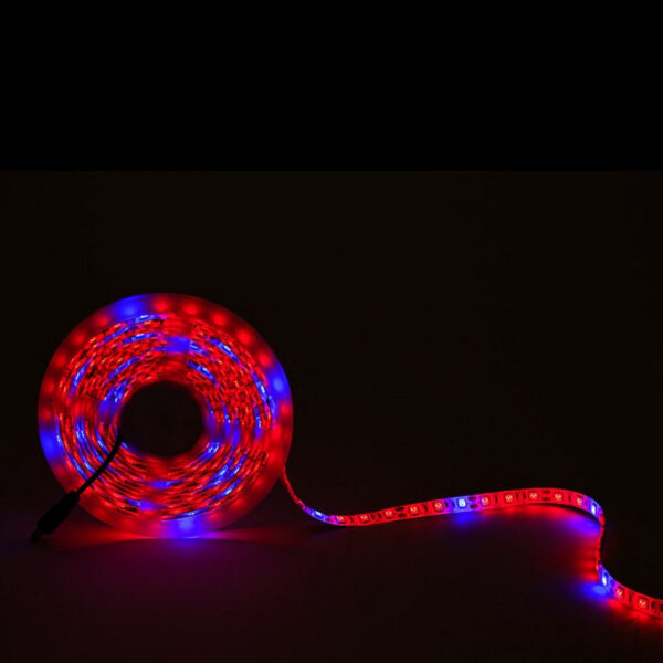 Tira LEDs Cultivo 72W 4.200Lm SMD5050 IP65 x5M 40.000H [CA-GR-5050-IP65]-