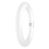 [LVE-4099854042485] Tubo LED T9 Ledvance G10q 11W 1320Lm 6500K 110º IP20 - Blanco Frío