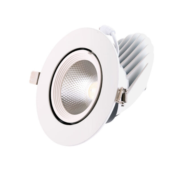 Foco Downlight LED 24W 3600Lm 4000ºK Circular Orientable 40.000H [HO-COB-C-OR-24W-W]