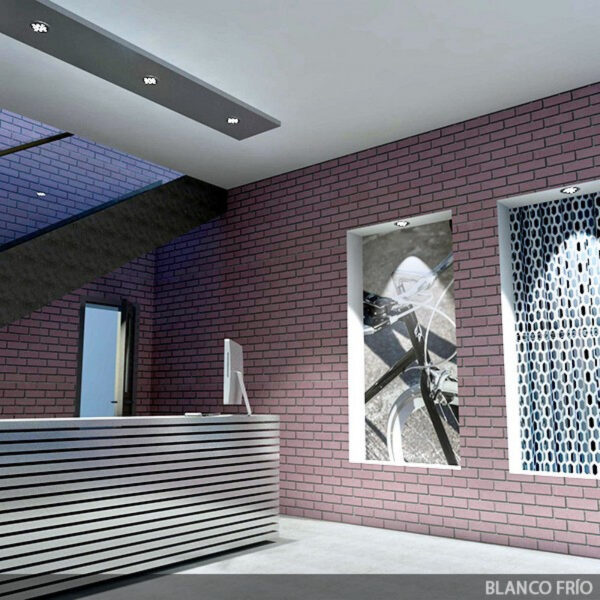 Foco Downlight LED 12W 1.200Lm 6000ºK Circular 40.000H [HO-LEDDOWN-12W-CW]