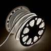 Tira LED Manguera "Neon Flex" 6W 6000ºK 24V 8x18mm Doble 120xSMD2835 6W/M x1M 40.000H - Corte 5CM [HONSPVC8x18D2205CMCW]