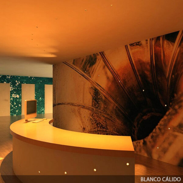 Luz LED Empotrable 2W 180Lm 6000ºK "Angela" Circular Ø36Mm 40.000H [JN-S003-C-CW]