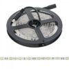 Tira de 150 LEDs 36W 2.100Lm CRI85 6000ºK SMD5050 12VDC x5M 40.000H [PL219007W]-Blanco Frío
