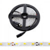Pack 4 Tiras LED 72W 3780Lm 6000ºK 300 X SMD5050 12VDC x5M 40.000H [PL219009W-PK4-AP]