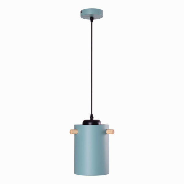 Lámpara Colgante "Dahlia"  [SKD-P1011-OG]