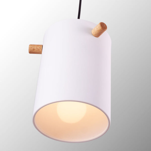 Lámpara Colgante "Dahlia"  [SKD-P1011-OG]