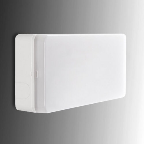 Alumbrado Emergencia LED Esera 60Lm 1 Hora IP44