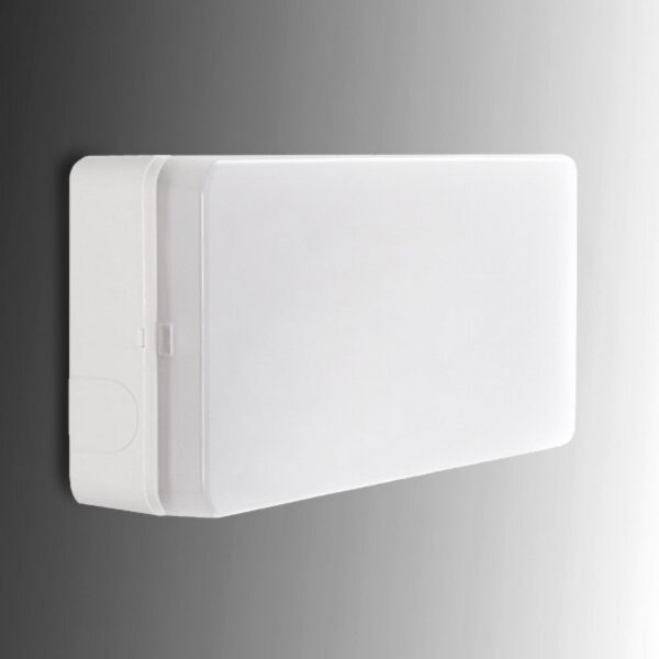 Alumbrado Emergencia LED Esera 500Lm 1 Hora IP44