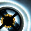 Tira LED SMD 2835 5M 12W/M 1200Lm/M CCT (Tonalidad Luz Regulable) IP20 24VDC [SKY-FSL2835-120-CCT]