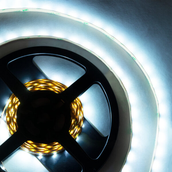 Tira LED SMD 2835 5M 12W/M 1200Lm/M CCT (Tonalidad Luz Regulable) IP20 24VDC [SKY-FSL2835-120-CCT]