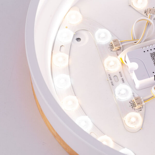 Plafón LED 24W 2493Lm Mando a Distancia (Intensidad-CCT) 10.000H   [BX3-CCT-DL24W]