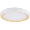 [HO-CCT-DECO-07-36W-W] Plafón LED Decorativo 36W CCT 3000-6000ºK (Tonalidad Luz Regulable) Control Remoto Acabado Blanco