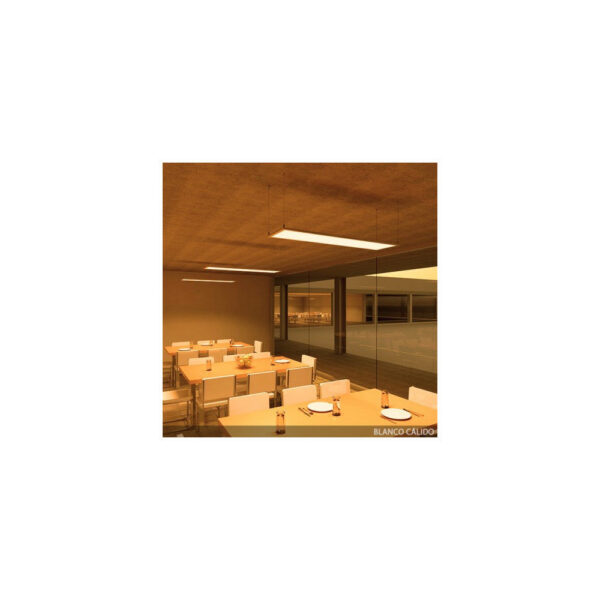 Panel LED Superslim 48W 4.800Lm 120x30Cm Blanco Mando a Distancia (Intensidad-CCT) 40.000H [HO-PANMB295119548W-RC]