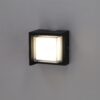 Aplique LED "Nishio" 6W [HO-WALL-23-6W-W]