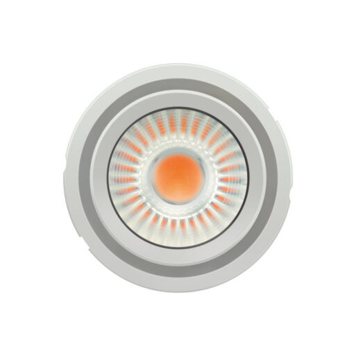 [LVE-4052899621589] Módulo LED Osram/Ledvance   36,7W 3900Lm 3900K 55º IP20