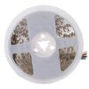 Tira LED SMD5050 14,4W/M 140Lm/W  24VDC IP20 RGB/CCT Rollo 5M