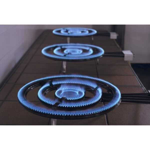 Paellero Flames VLC T-600/ 3 Quemadores/ Diámetro 60cm