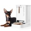 Comedero de mascotas Inteligente PetKit YumShare Dual-Hopper/ Cámara HD/ con Micrófono